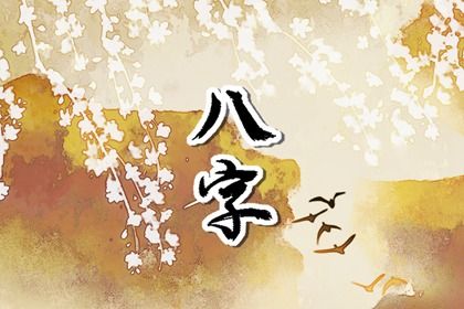 命宫、身宫与胎元